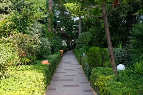 Hotel Dionysos in Ιαλυσός — foto 28