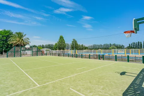 L Hippocampe foto 10