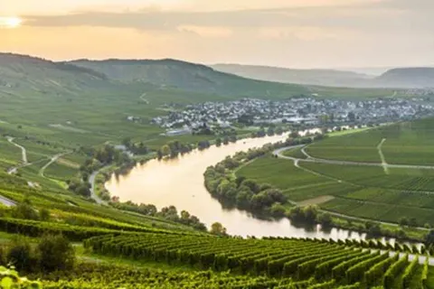 Gästehaus Kiebel foto 18