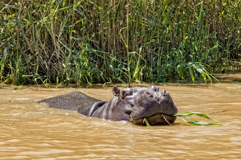 The Ultimate South Africa Experience foto 5