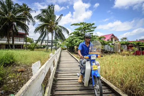 16-daagse rondreis Suriname Compleet in Anaula — foto 3