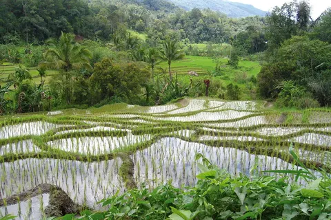 Ontdek Noord-Sumatra en relax op Bali foto 17