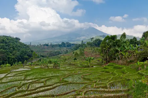 Fascinerend Indonesië in Jiwa Baru — foto 15