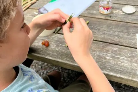 Camping La Forêt foto 16