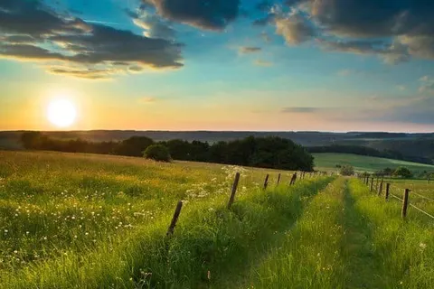 Hotel am Park Stadtkyll foto 20