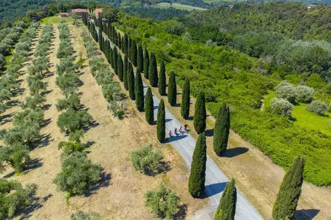 Tenuta Castellare di Tonda in Montaione, foto 3