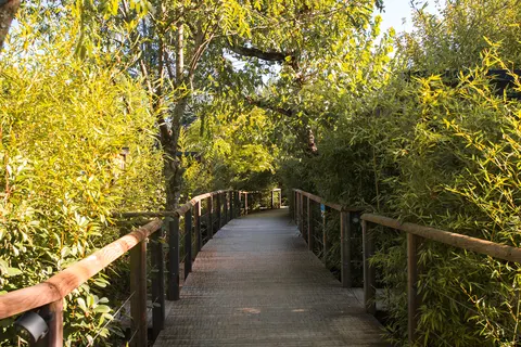 Camping Collection Rivages Rives D Arc foto 9