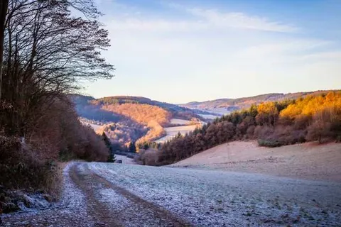 Hôtel Myrtilles foto 24