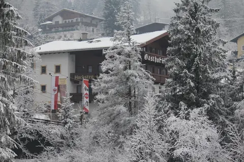 Gasthof Hochsteg in Finkenberg — foto 15