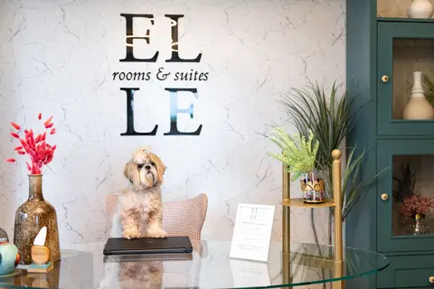 ELLE Rooms & Suites in Κατερίνη — foto 15