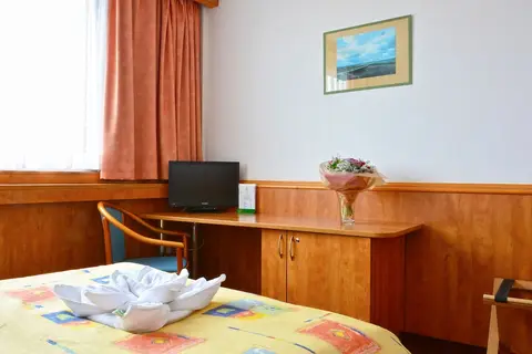 Hotel Olympik Prague in Praag — foto 29