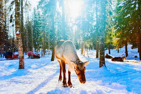 8 daagse excursiereis Ruka Adventure foto 1