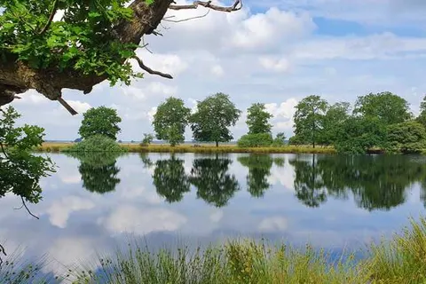 Hotel Martensplek foto 24