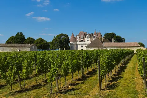 Dordogne, wijn en Bordeaux foto 6