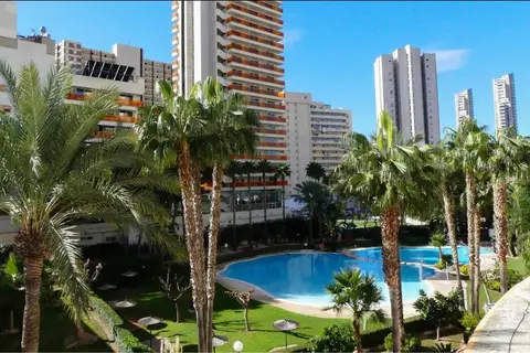 Siroco - Gemelos 22 in Benidorm — foto 5