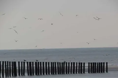 Hotel De Vier Seizoenen foto 26