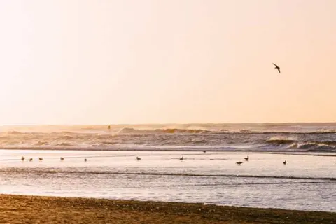 Boutique Hotel Enkhuizen foto 22