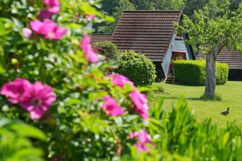 Domaine Long Pré in Stavelot — foto 21