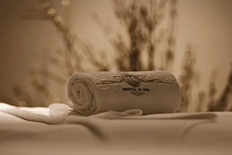 Alentejo Marmoris Hotel & Spa in Vila Viçosa, foto 29