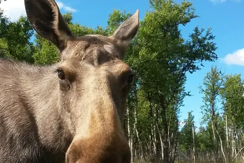 Ontdek Zweden foto 24