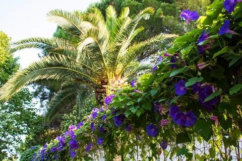 Camping Les Pêcheurs foto 26