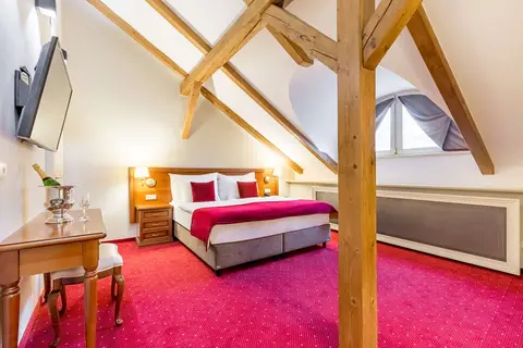 Hotel Caruso Prague Old Town in Praag, foto 5