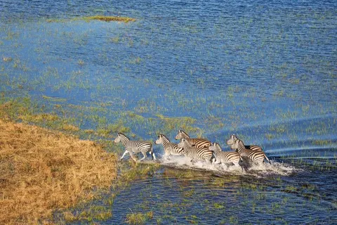 15-daagse rondreis Namibië, Botswana & Zimbabwe foto 3