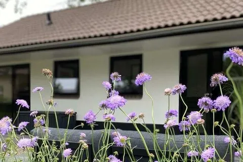 Camping de Vinkenkamp foto 17