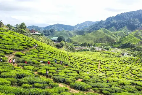 Culinair Maleisië in Miri — foto 10