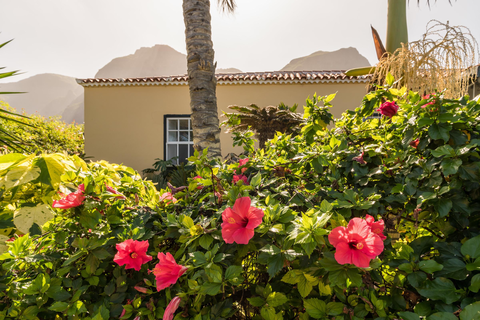 Casa Amarilla foto 3