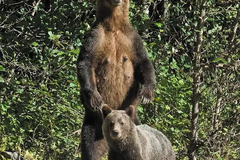 The Wild Western foto 9