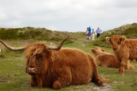 Camping Loodsmansduin foto 17