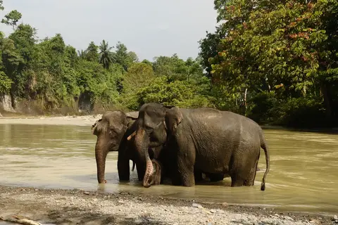 Ontdek Noord-Sumatra en relax op Bali in Jiwa Baru — foto 8