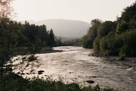 Forest Camping Mozirje in Mozirje — foto 20