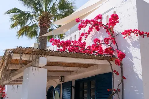White Blue Villa (voorheen Villa Ippocampi) in Δημοτική Ενότητα Χερσονήσου — foto 9