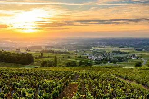 Camping La Grappe Fleurie foto 14