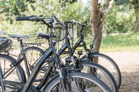 Cas Cabo Nou Agroturismo in Palma, foto 3