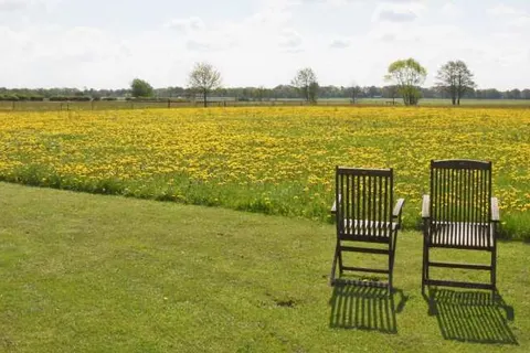 Bed and Breakfast De Beddestee foto 2