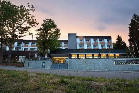 Hotel Astoria Bled in Bled — foto 12