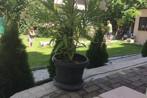 Villa Mishe in Ohrid, foto 18