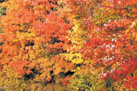 Atlantisch Canada op het gemak foto 10