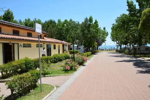 Badiaccia Camping in Castiglione Del Lago — foto 7