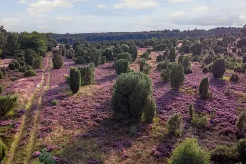 Center Parcs Bispinger Heide in Bispingen — foto 5