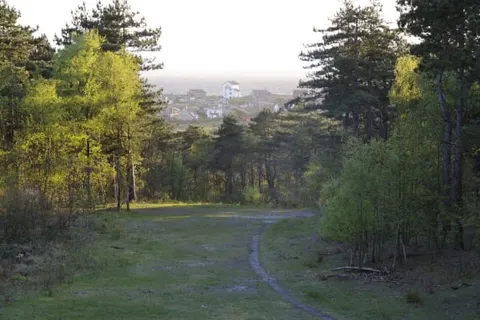 Landgoed Huize Glory foto 17