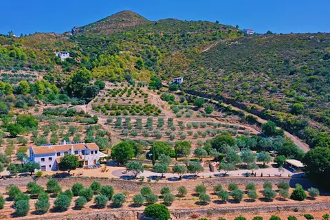 Castell de la Solana in Carcaixent — foto 3