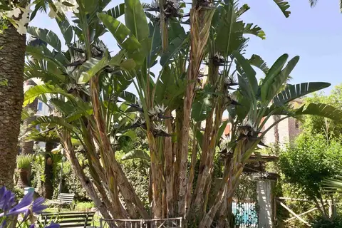 Eden in Sorrento — foto 6