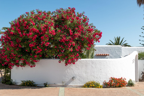 Villas Residencial Bogamari foto 3