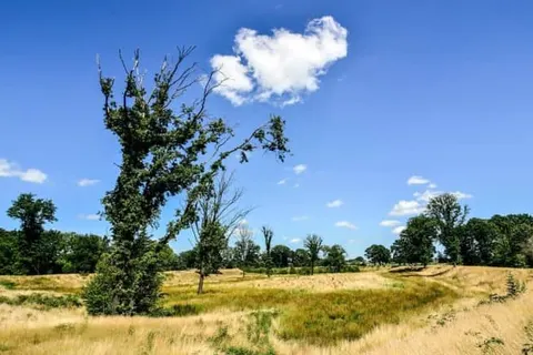 Boshotel Overberg foto 31