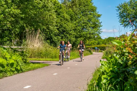 Vakantiepark De Woudhoeve in Bergen — foto 35