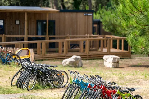 Flower Camping Monplaisir foto 17